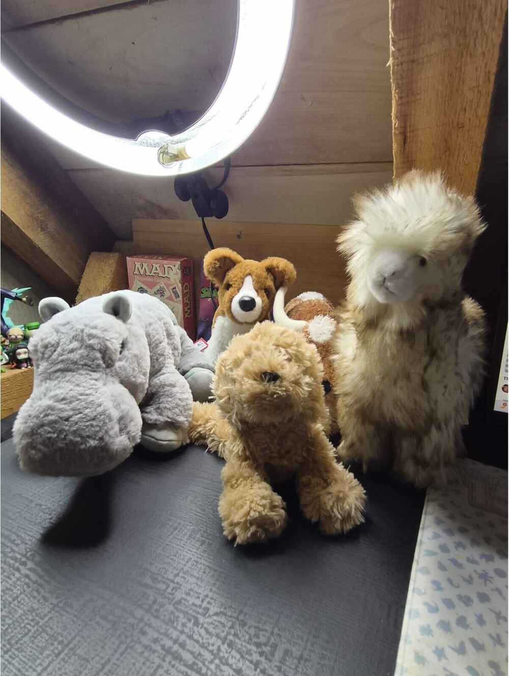 Douglas Plush Lot Of 5 Axel Rare And More